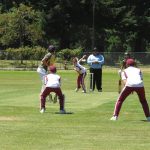 Ash12cricket (1) (Medium)