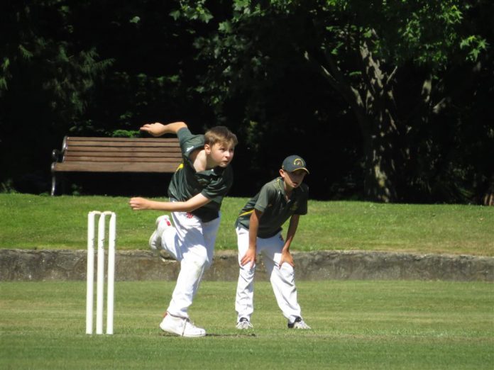 Ash12cricket (10) (Medium)