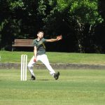 Ash12cricket (11) (Medium)