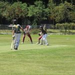 Ash12cricket (2) (Medium)