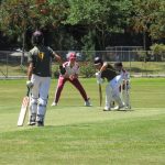 Ash12cricket (3) (Medium)
