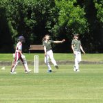 Ash12cricket (4) (Medium)