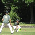 Ash12cricket (5) (Medium)