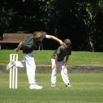 Ash12cricket (9) (Medium)