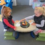 ash20toylibrary (1) (Medium) – Copy