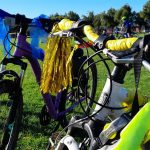 Ash18wheelsFUN (3) (Medium)