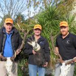 Ash27deerAssMeet (Medium)