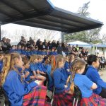 Ash6wakanui (17) (Medium)