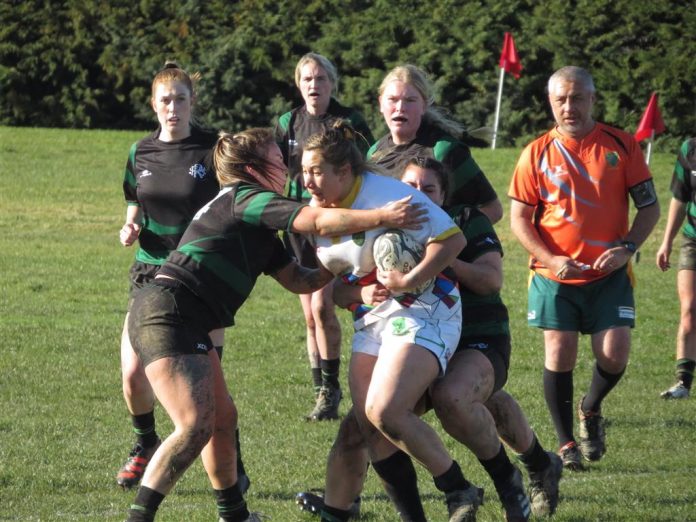 Ash3heartlandRugby (2) (Medium)