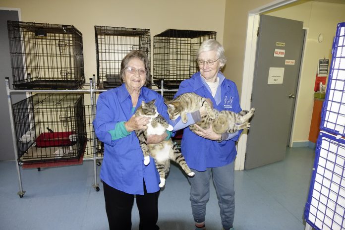 Ash21AnimalCentre (4)