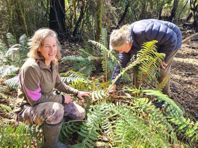 Gen De Spa of Staveley Camp Forest with volunteer Karen Palmer.