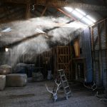 Woolshed Ghosts (auction ca (Medium)