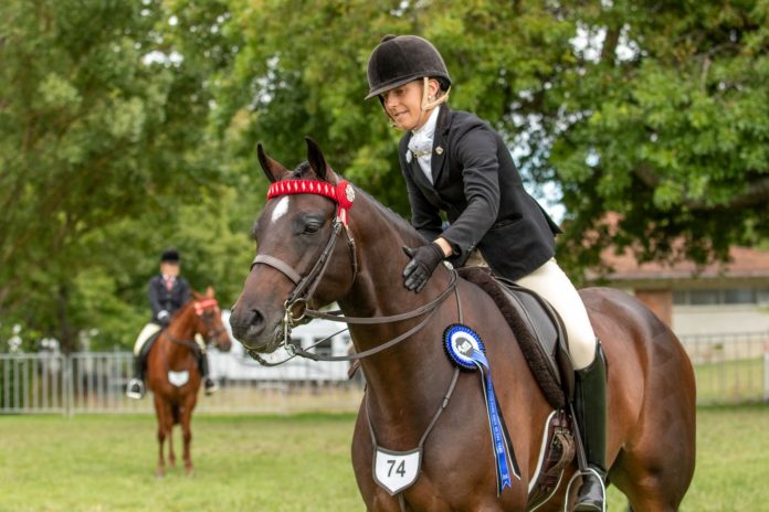 Ash5 Horse Year Carnesso Magic Merlin