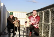 Trainers prepare to close down