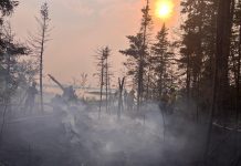 Kiwis’ helping hand