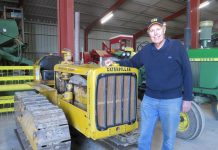 Yellow Caterpillars set for display