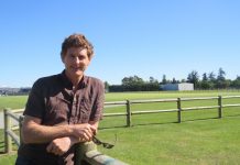 Traditional vibe, modern twist