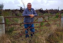 Settlements revisited in book