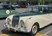 Sapphires and gems in Ashburton