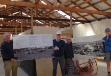 Revamp, royal status