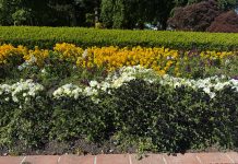 Floral giveaway possible