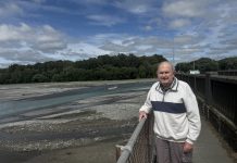 Nesting habitat ‘reduced’