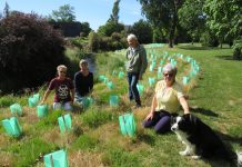 Plant protectors concern park users