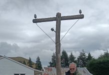 High-country party line recalled