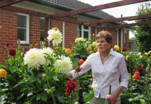 Blooming marvellous display