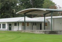 Cricket legends help for vital upgrades