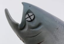 Police ‘locate’ eco activists