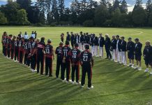 Kiwis to play England at domain