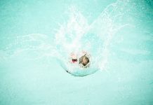 Water bombers to make a splash