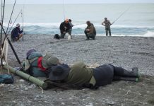 Sea fish abound as competition begins