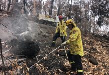 Fighting fires, an international calling