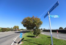 Crash involving pupil ignites bridge safety concerns