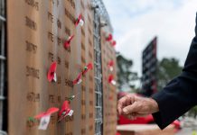 New sustainable commemorative poppy