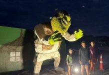 Scarecrows set for holiday fun