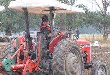 Ridge, Carter to compete in ploughing nationals at Methven