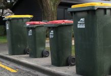 Conflict delays green bin rollout