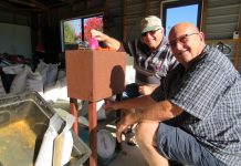 Birds to flock to Ashburton