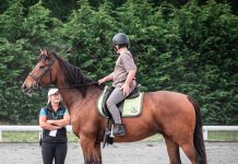 Equestrian volunteer’s national honour