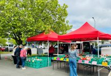 Farmers’ market plan to stay put