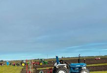 Workmanship on show at 100th plough